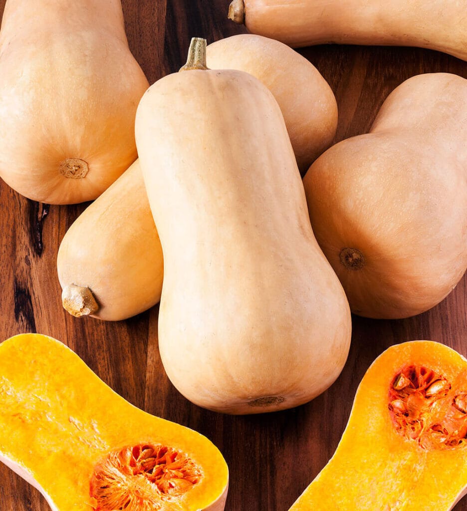 Waltham Butternut 1 Waltham Butternut