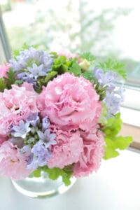 Voyage 2 Pink