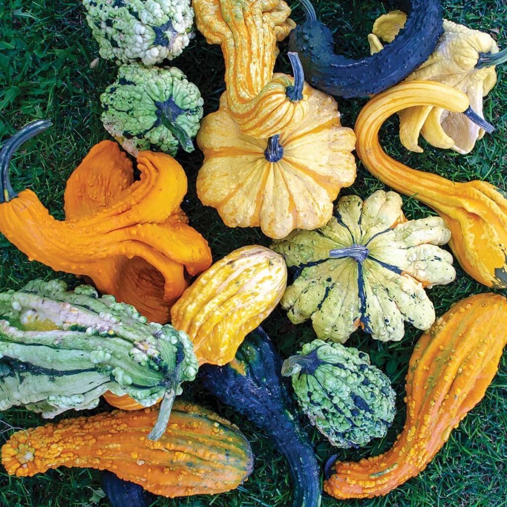 Beetlejuice 1 Beetlejuice