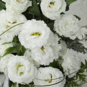 Voyage II Pure White