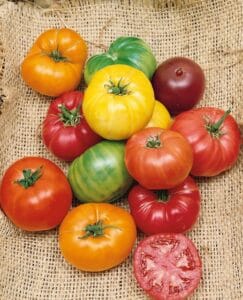 Heirloom Rainbow Blend