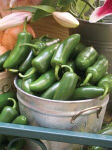 Jalapeño