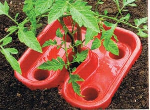 Tomato Tray Automater