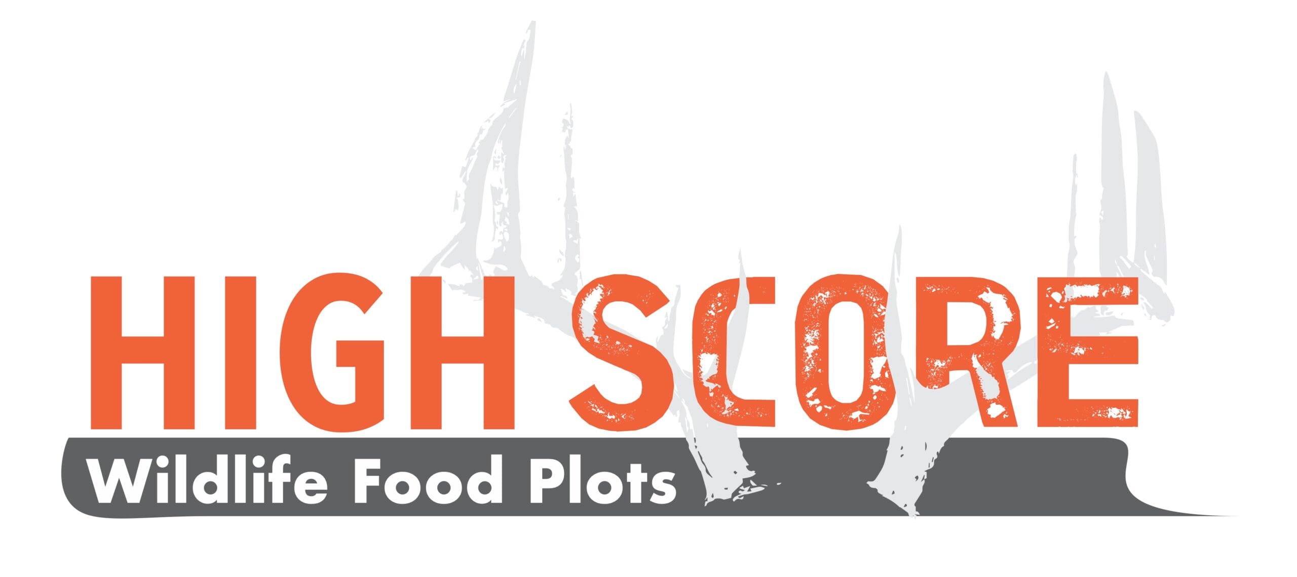 High Score